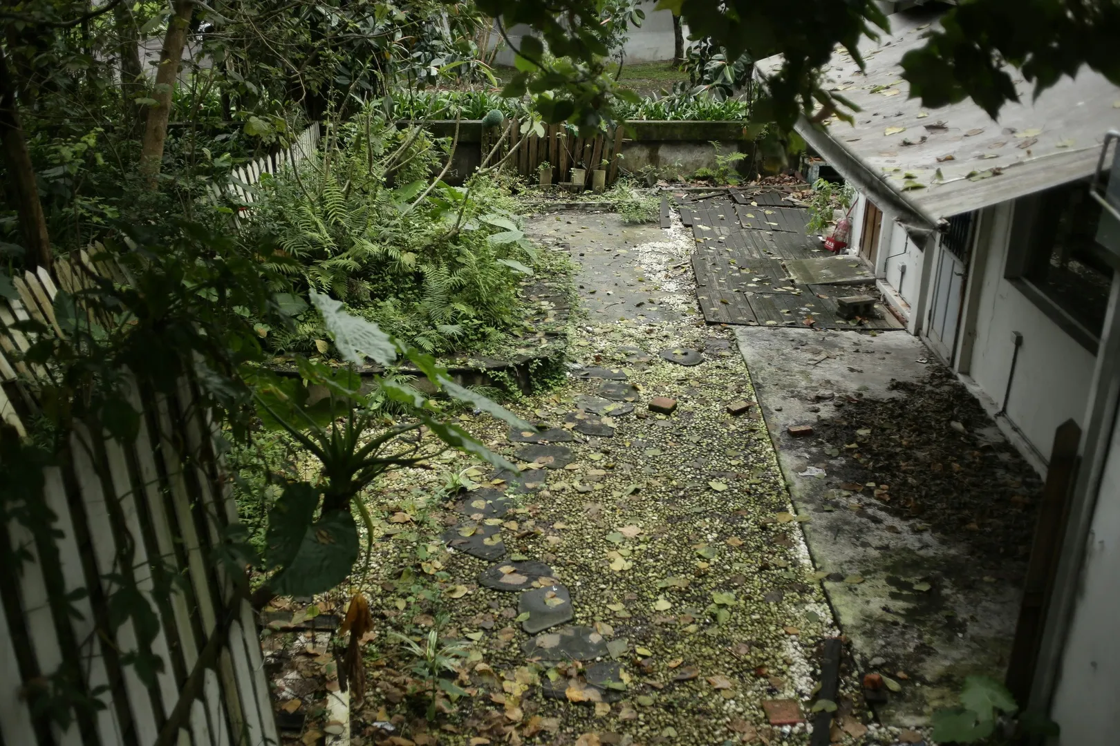 Before the Tidy Yard preset