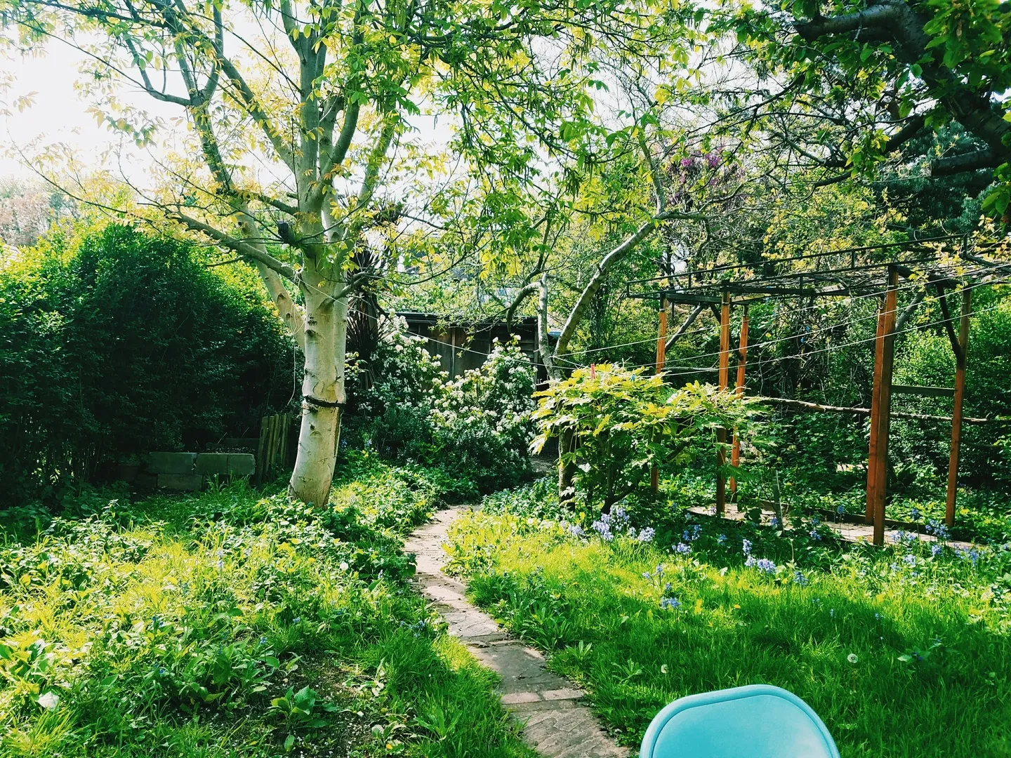 Before: Backyard AI design for a shaded yard